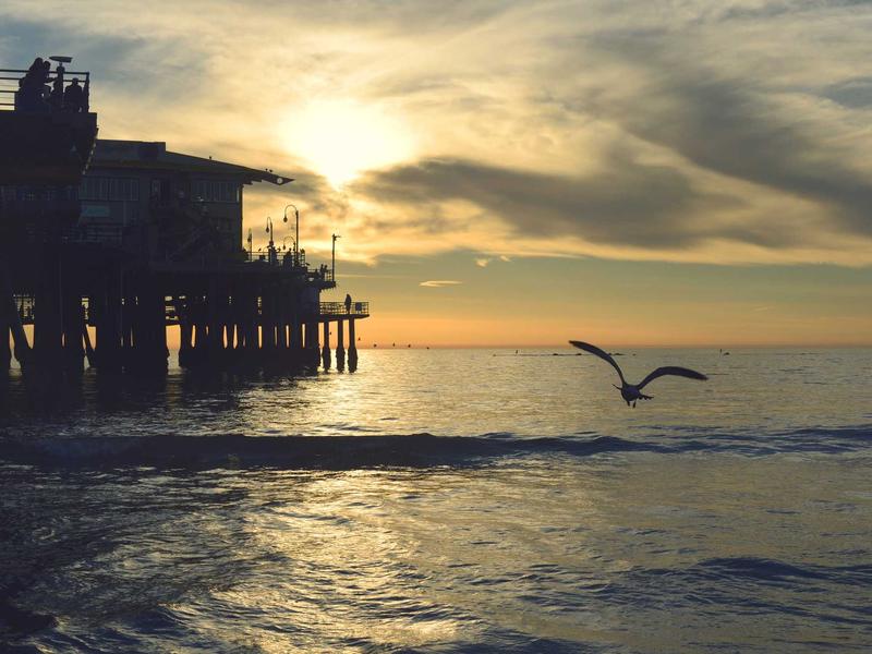 宿醉解药<br>uwsuuyl.cn 番茄汁加盐方